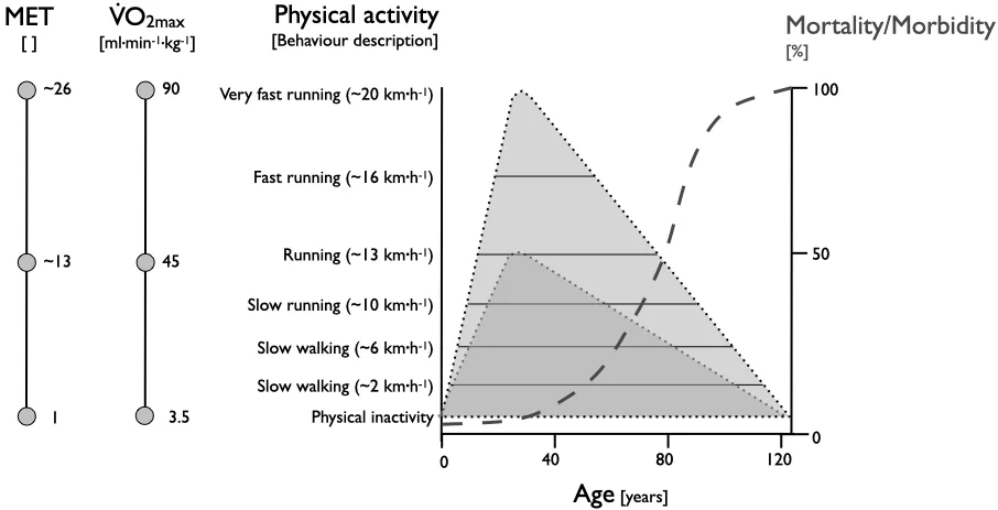 Limits of physical performance capacity — Age and mortality