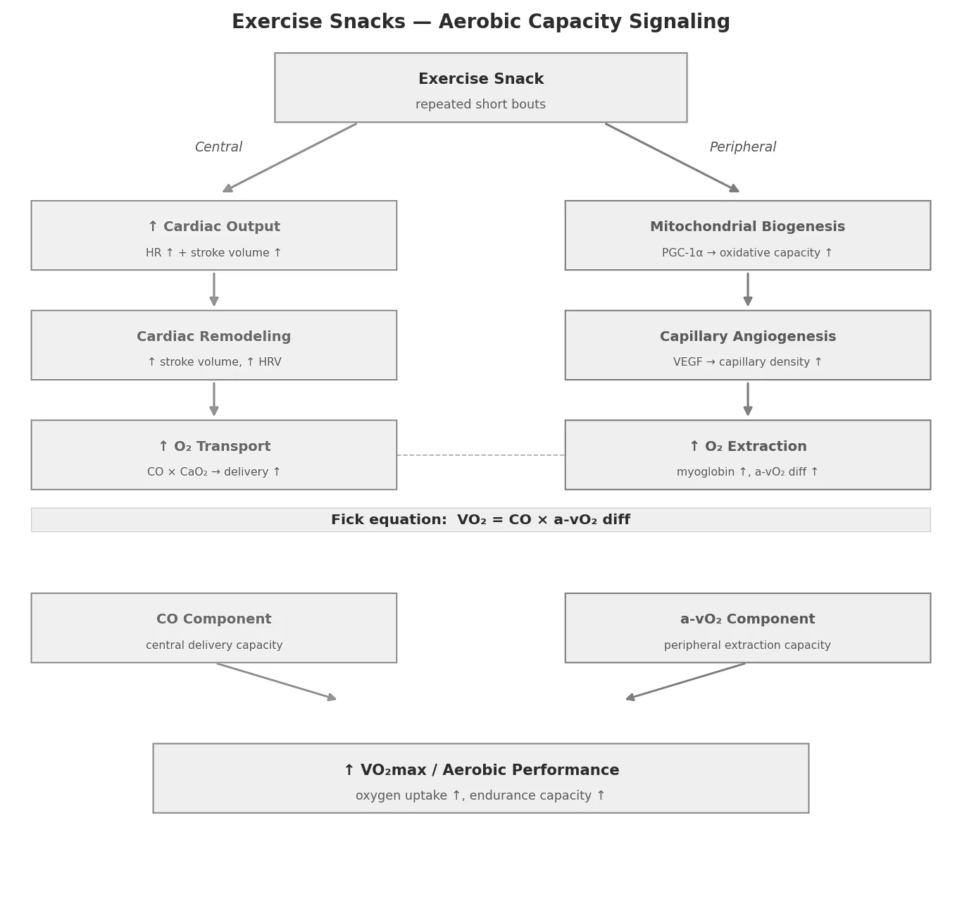 Aerobic Capacity Signaling