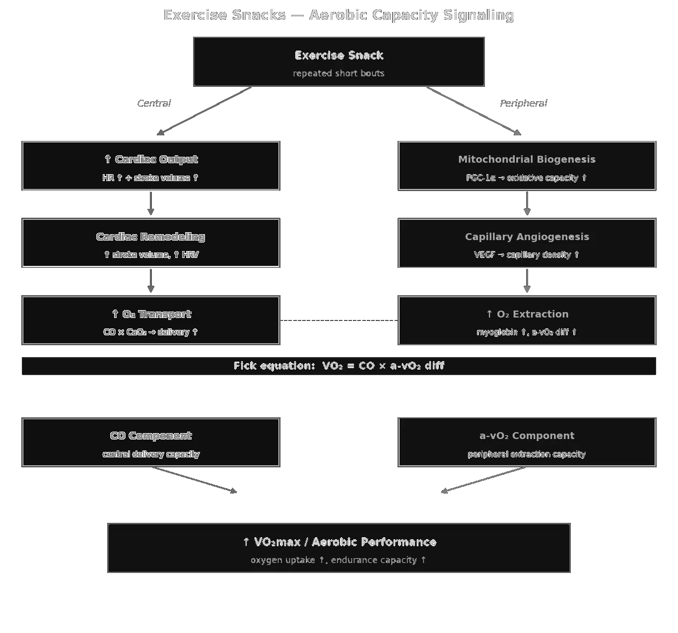 Aerobic Capacity Signaling