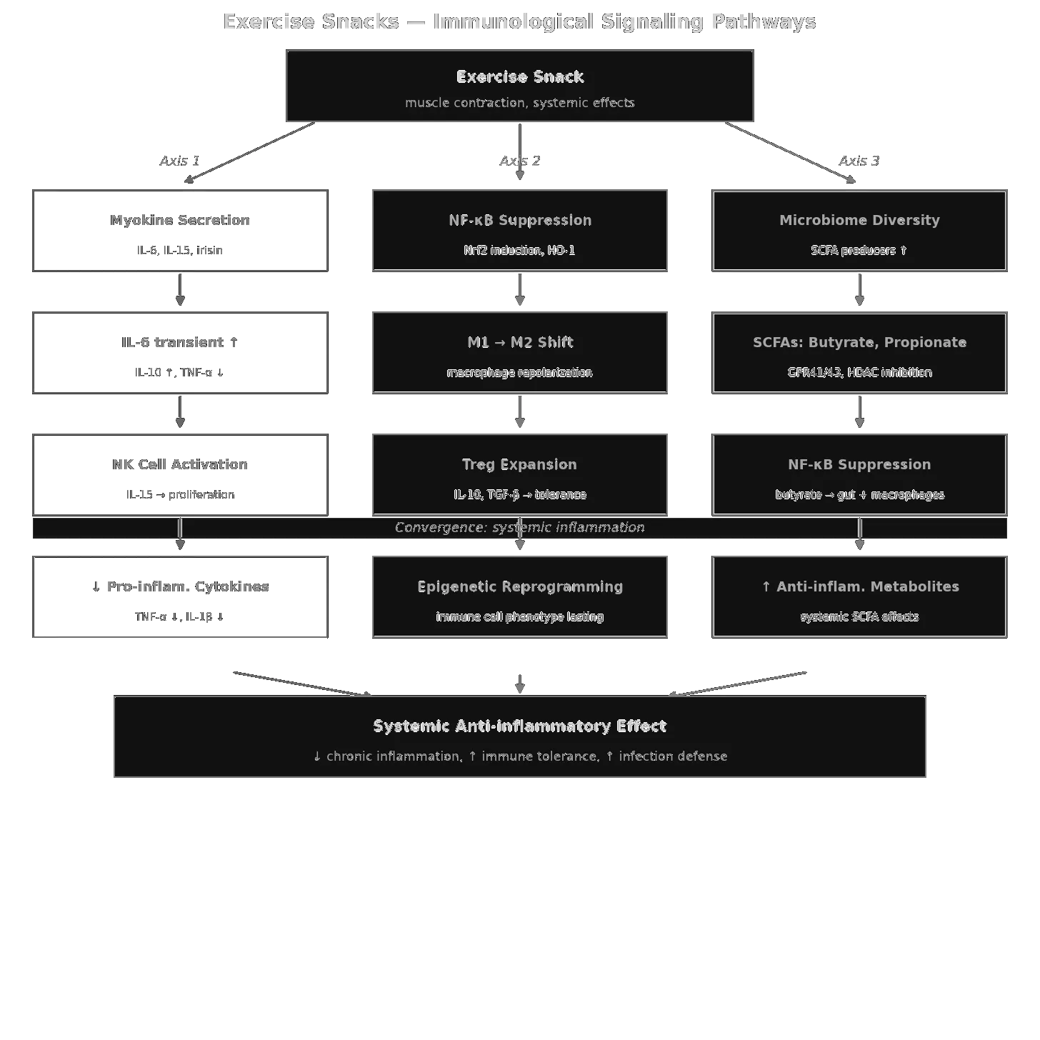 Immunological Signalling Pathways