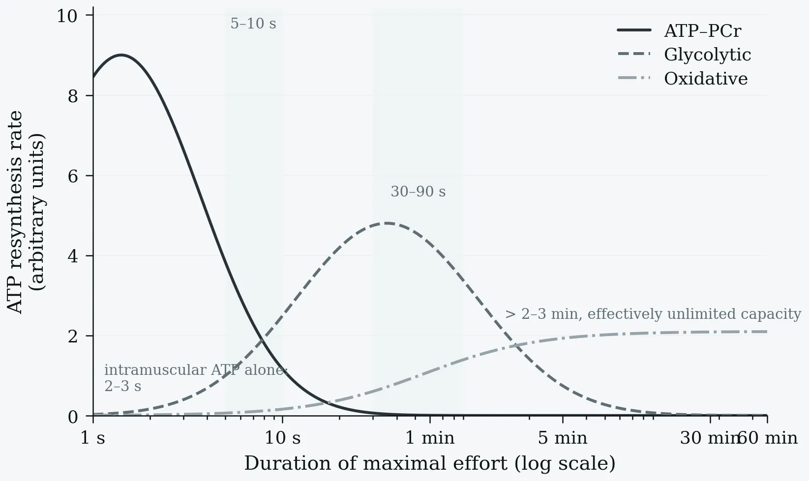 ATP resynthesis rate of the three energy systems against effort duration