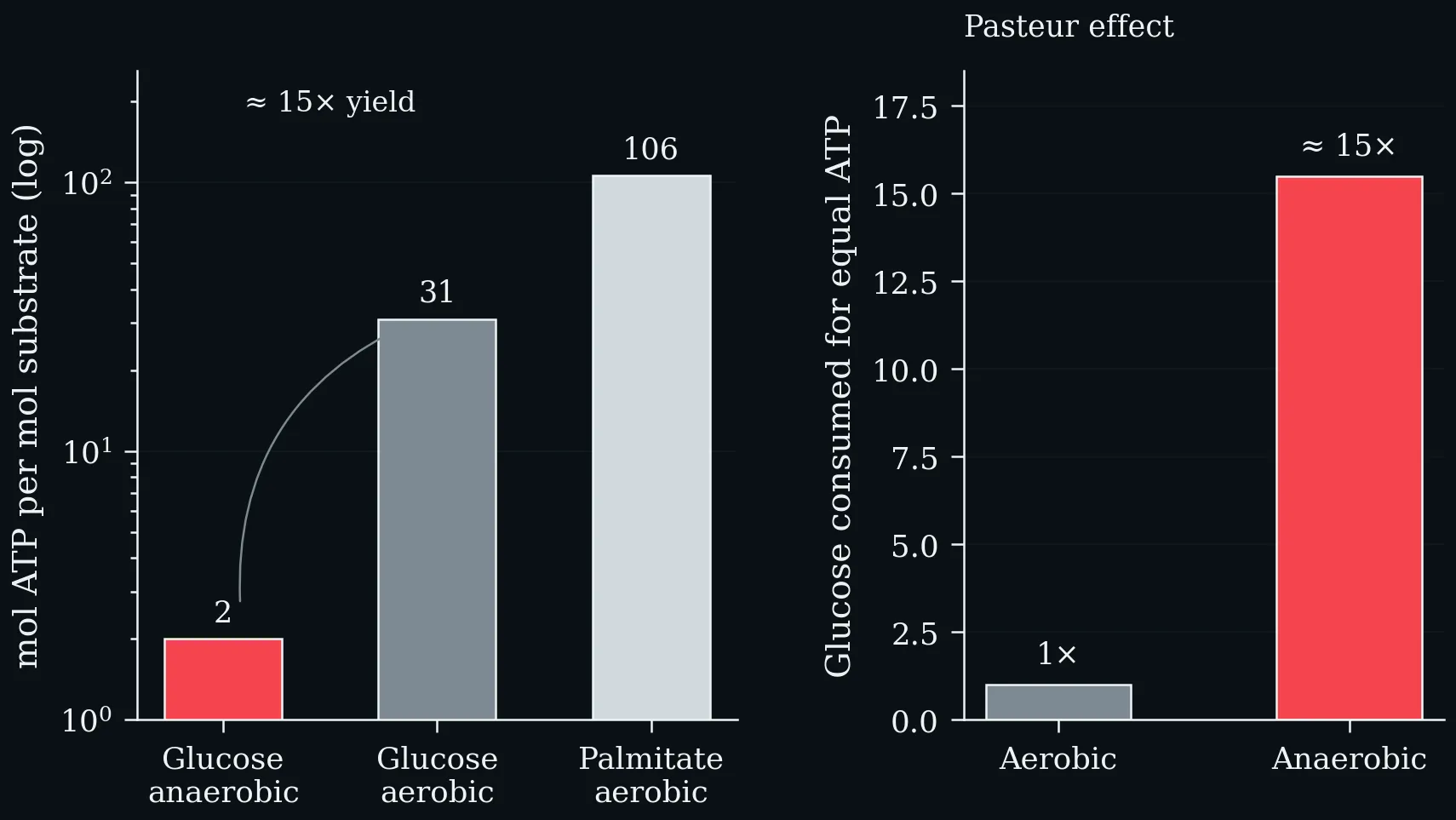 ATP yield per mole of substrate and the resulting Pasteur effect