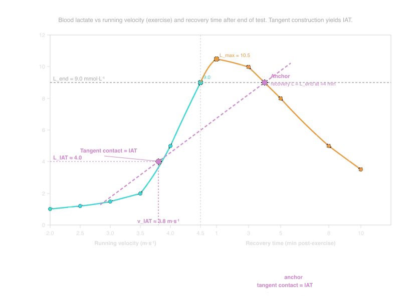 Determination of the IAT after Stegmann et al. (1981)