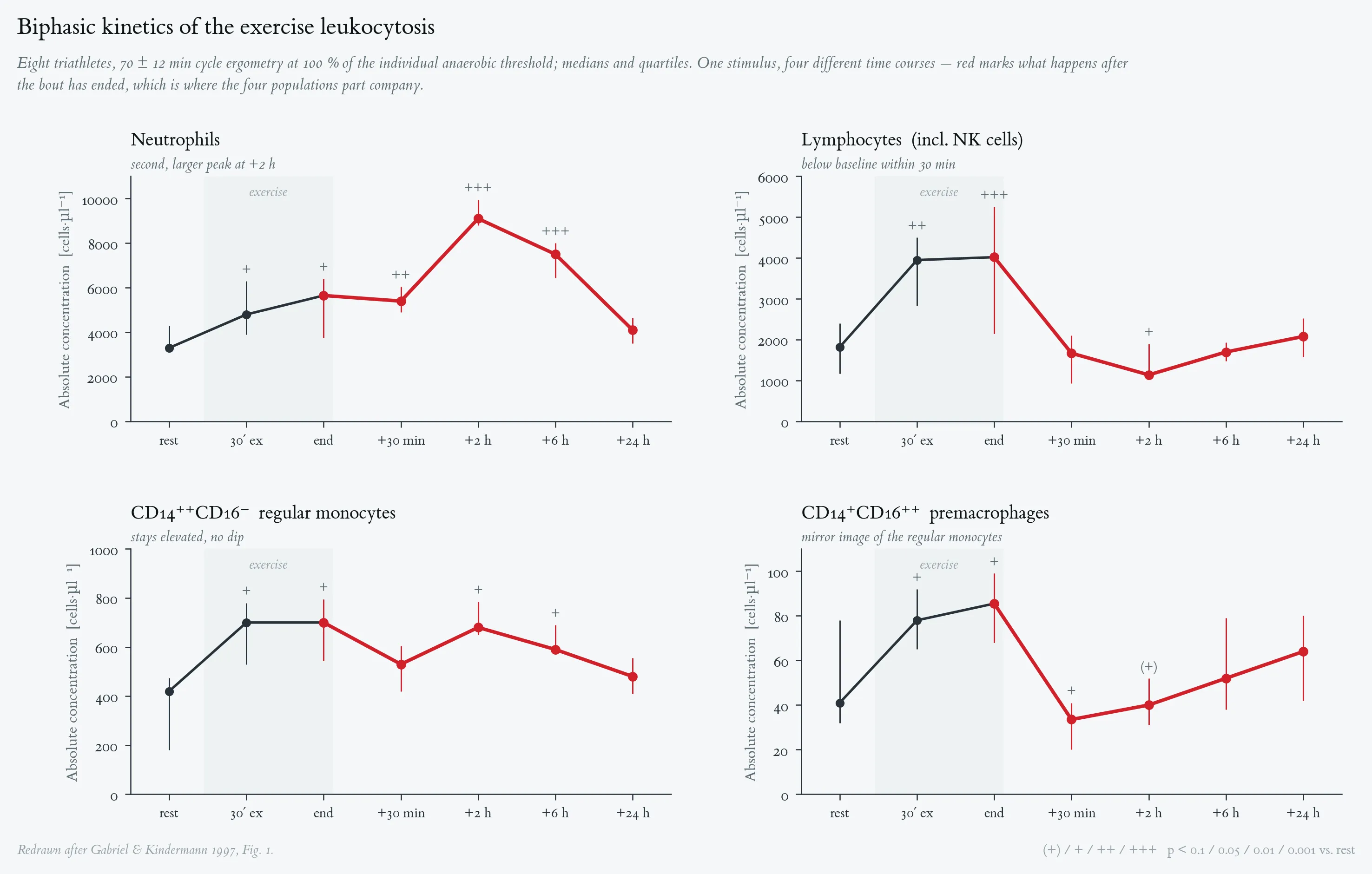 Biphasic kinetics of the exercise leukocytosis