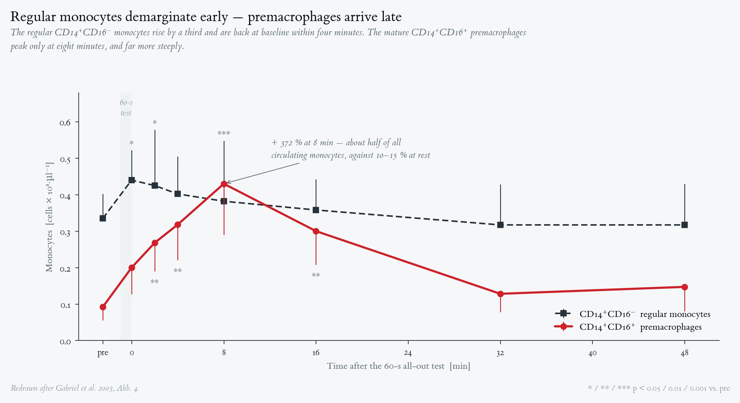 Regular monocytes demarginate early — premacrophages arrive late