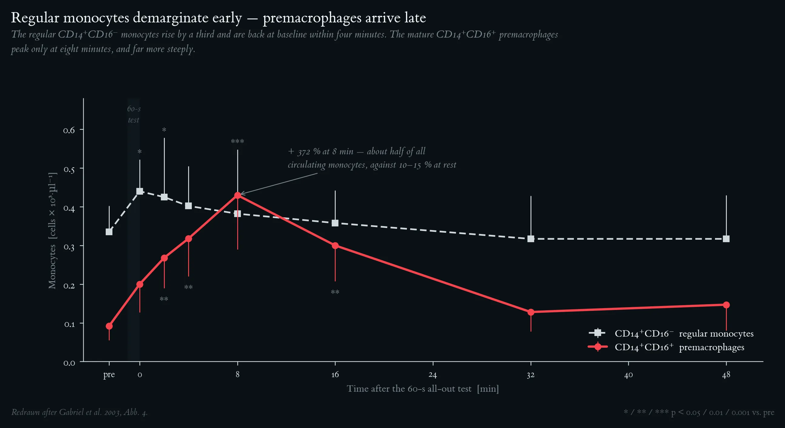 Regular monocytes demarginate early — premacrophages arrive late