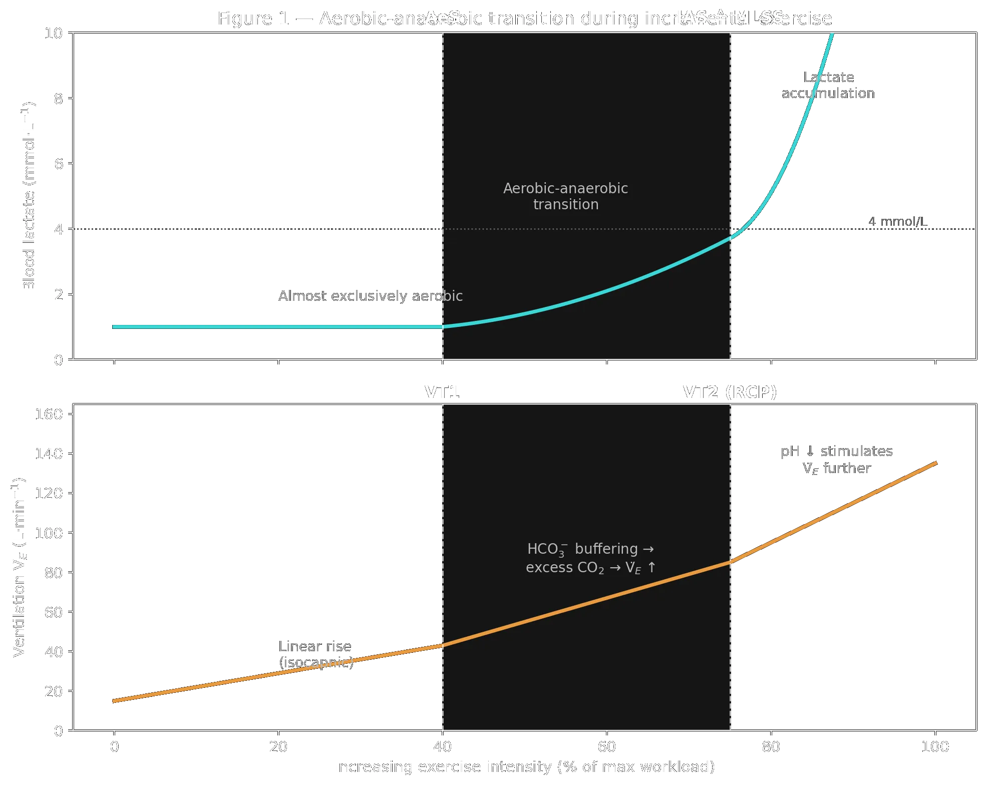 Aerobic-anaerobic transition during incremental exercise