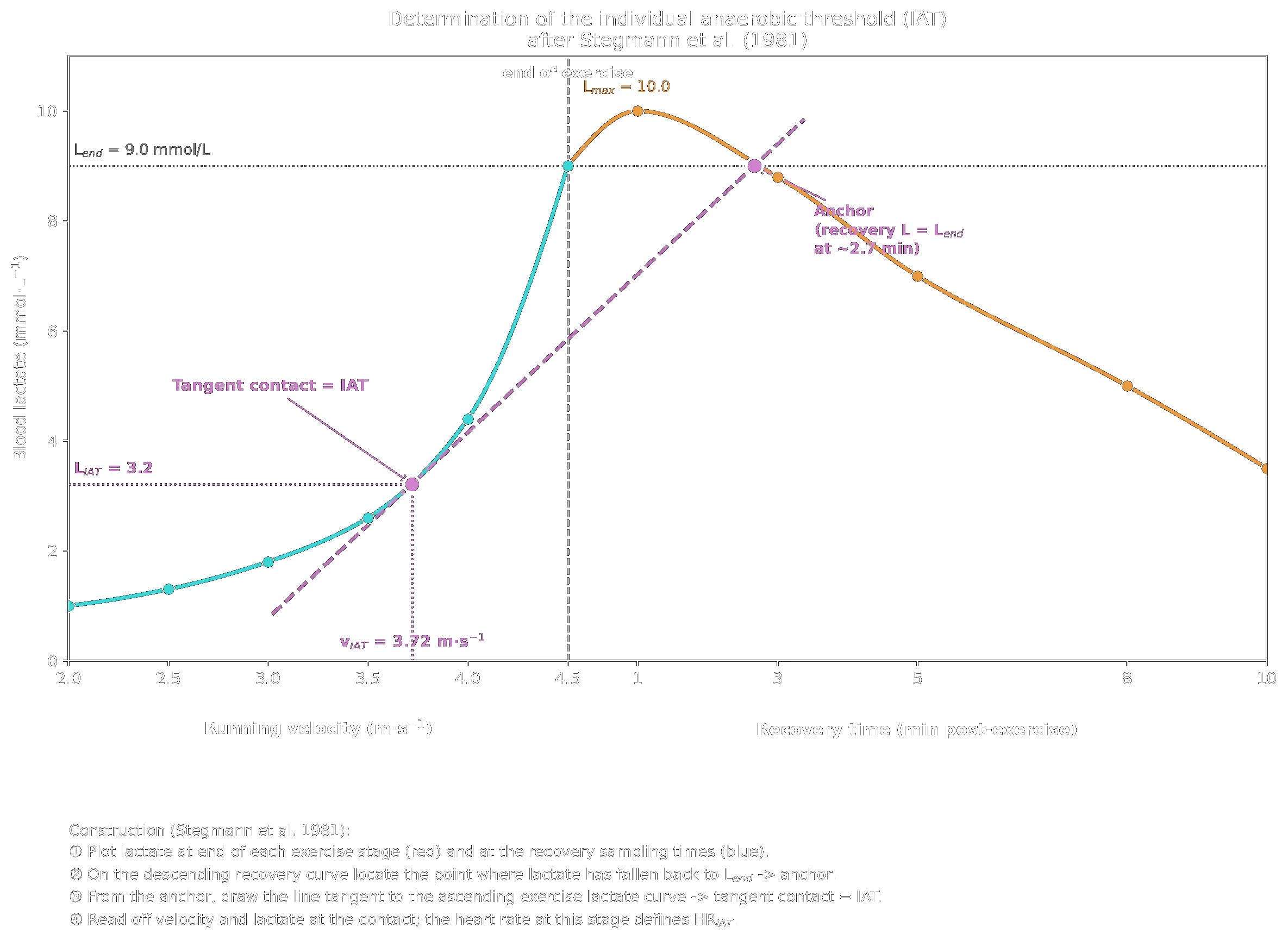 Determination of the IAT after Stegmann et al. (1981)