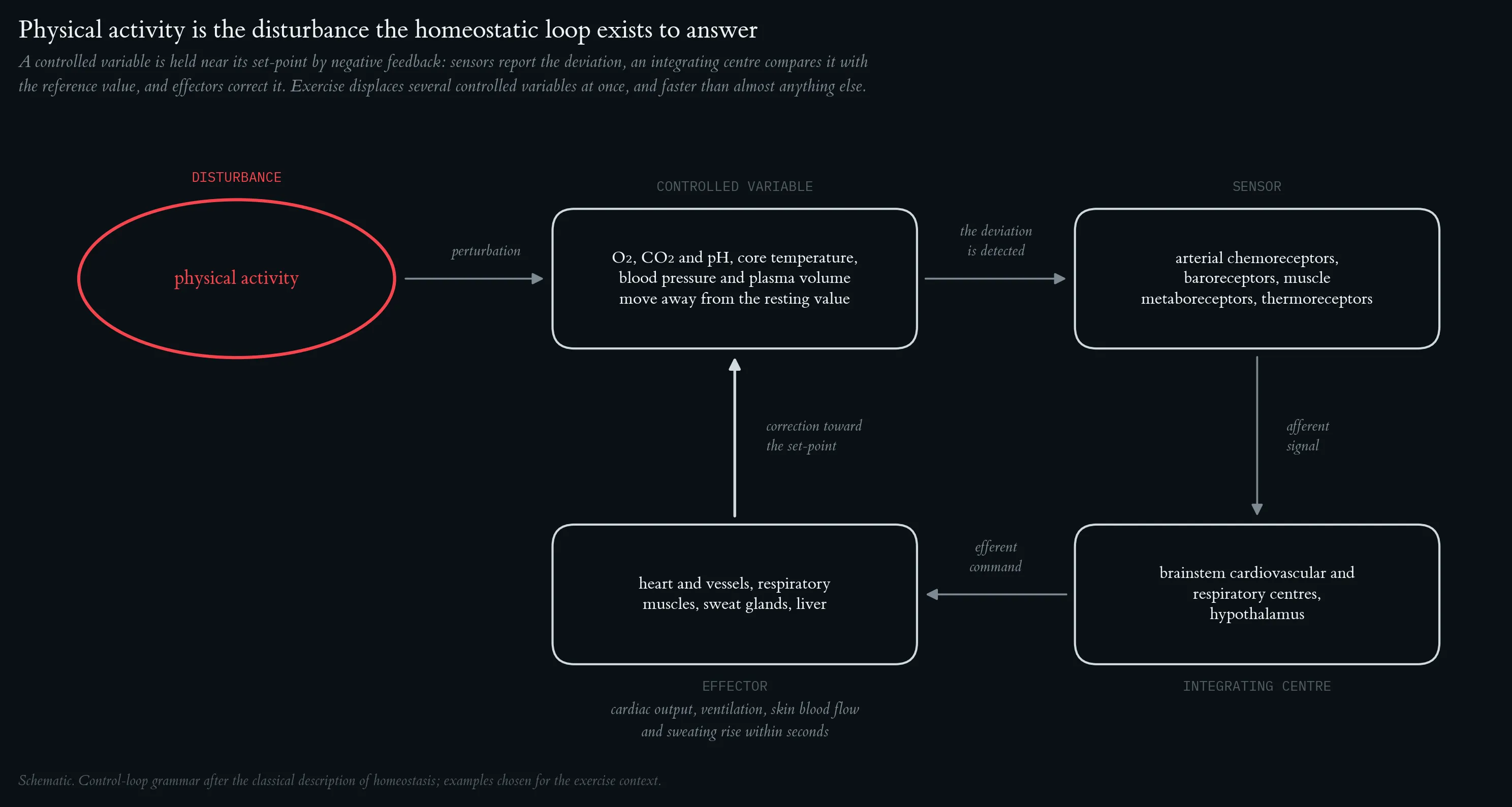 Homeostasis