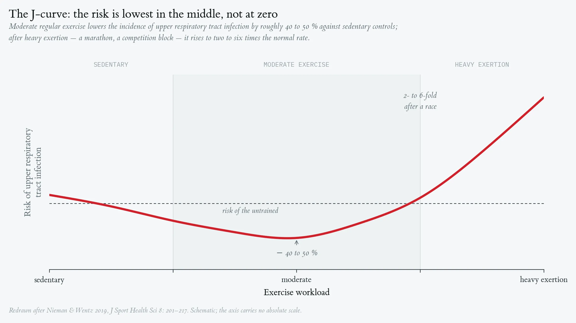 J-curve nieman