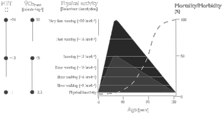 Limits of physical performance capacity — Age and mortality