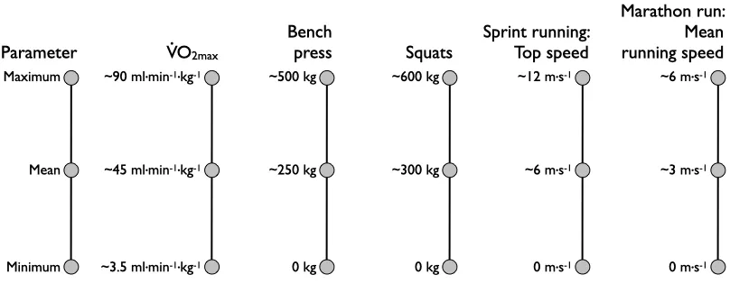 Limits of physical performance capacity — Power and running speed