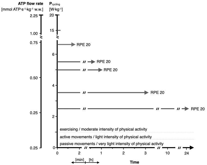 ATP flow rate cycling