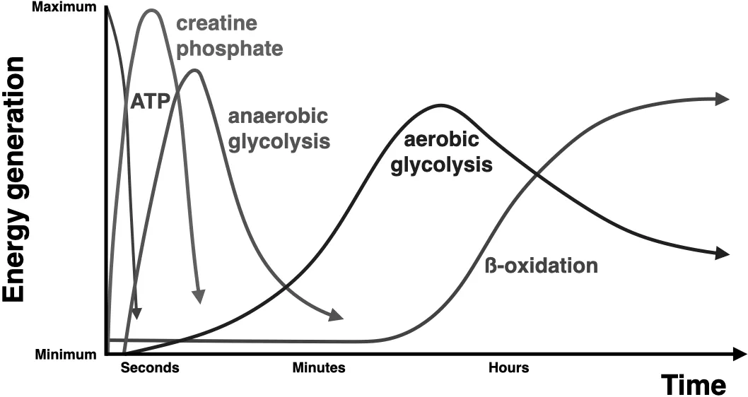 Energy time oxygen