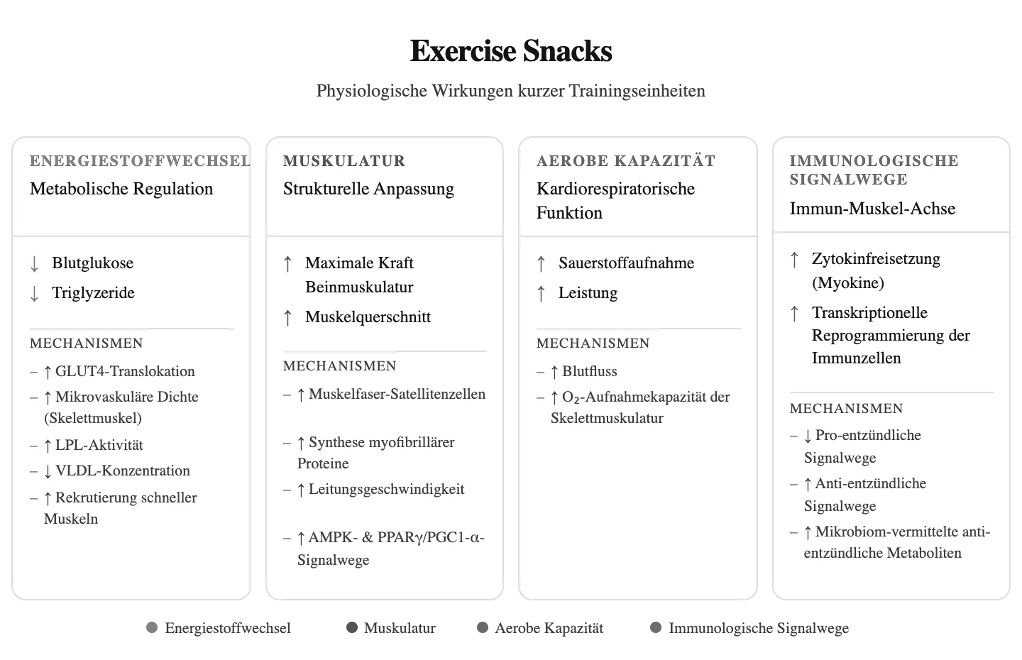 Evidence-based effects of Exercise Snacks