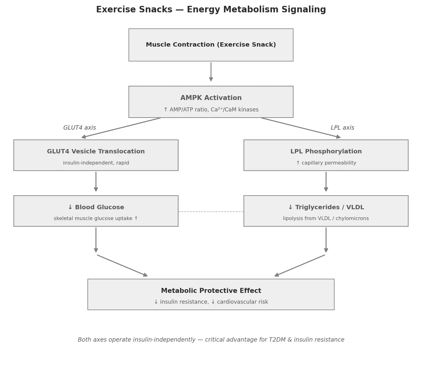 Energy Metabolism Signaling