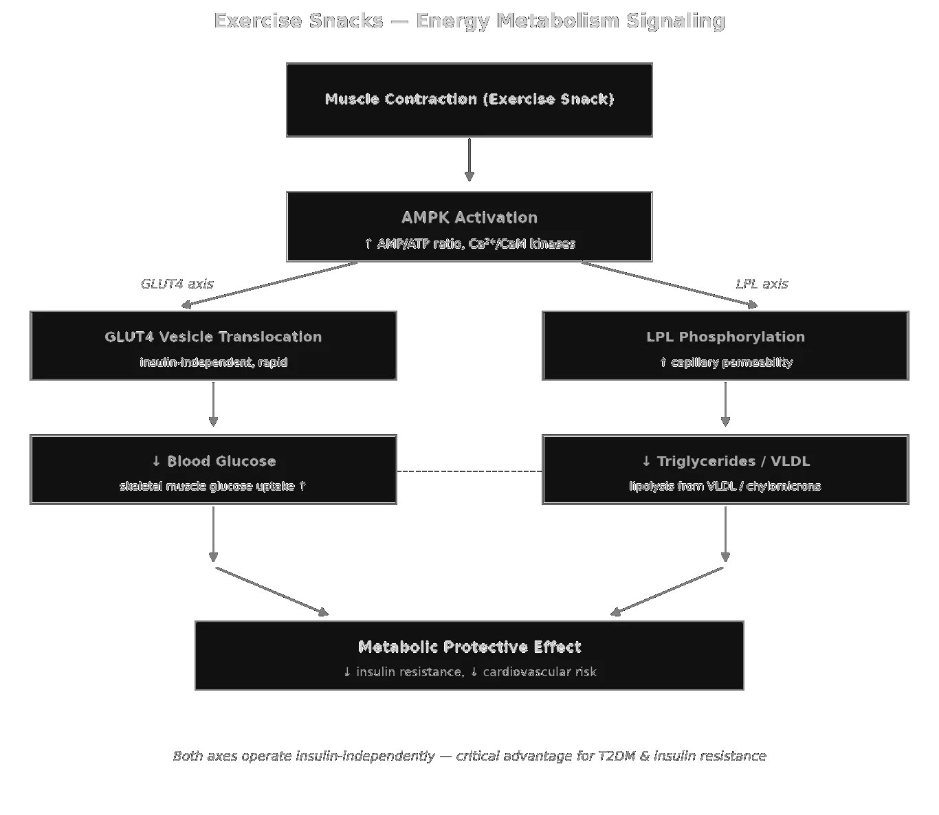 Energy Metabolism Signaling