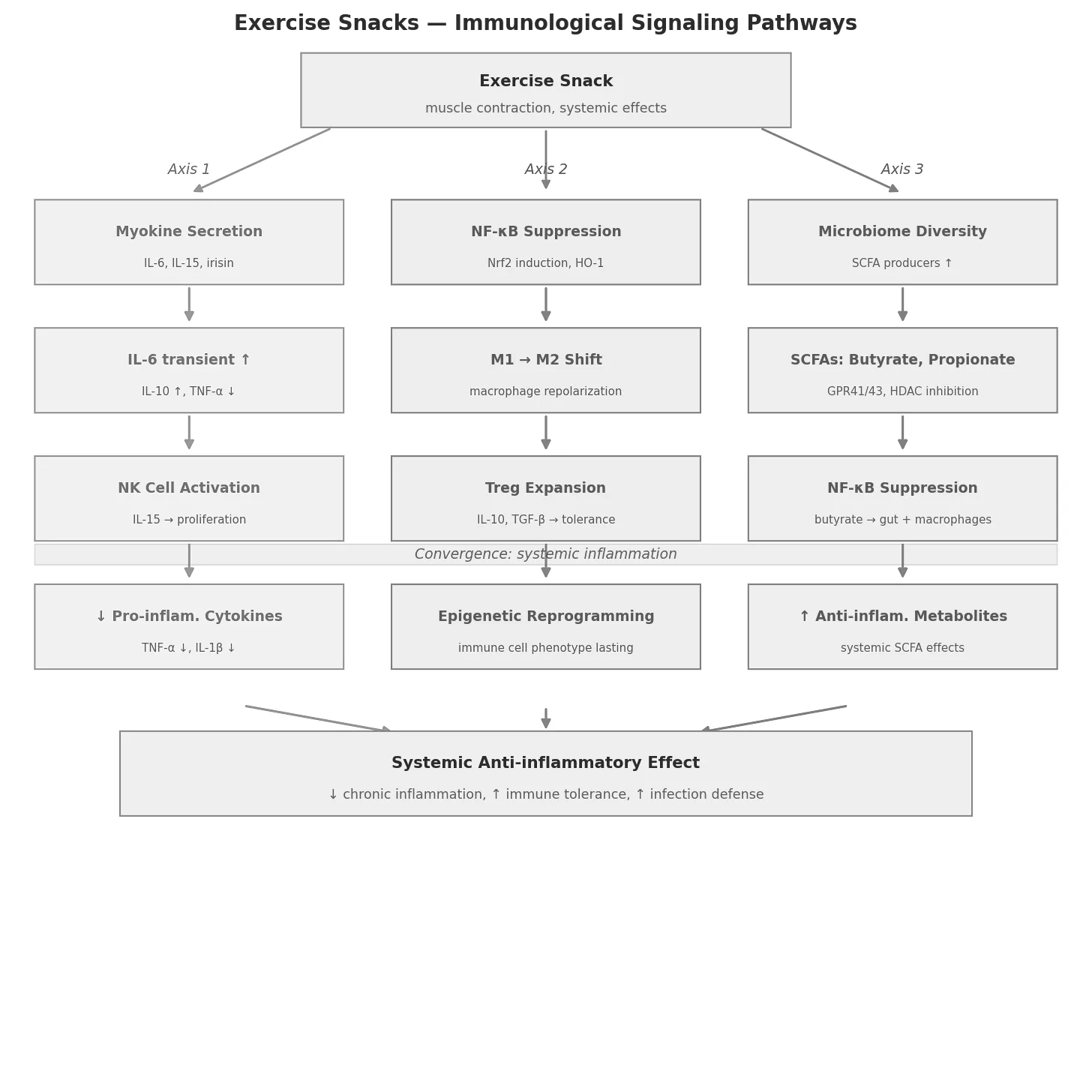 Immunological Signalling Pathways