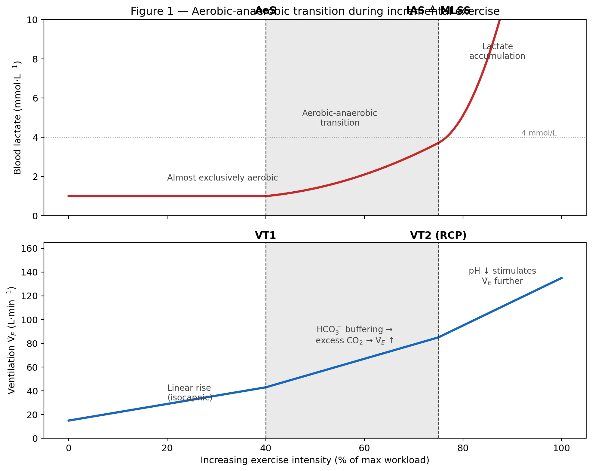 Aerobic-anaerobic transition during incremental exercise