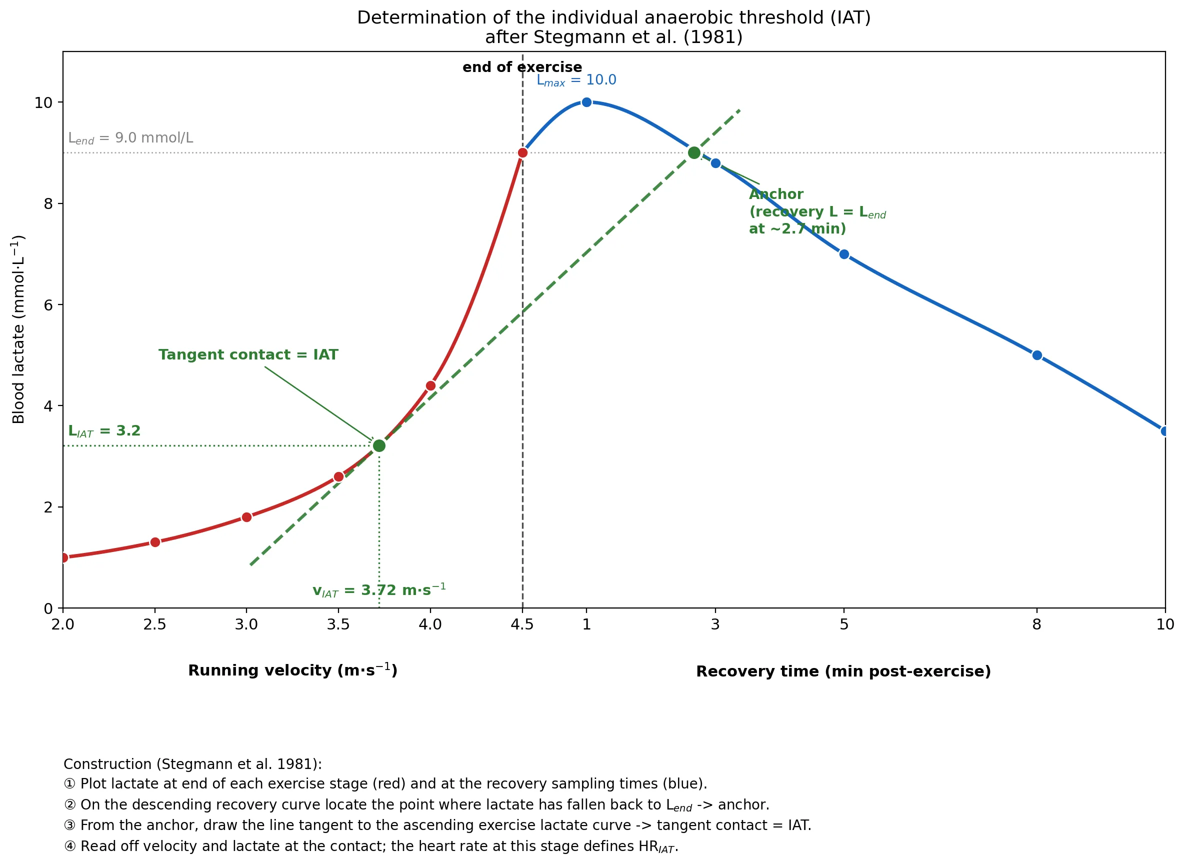 Determination of the IAT after Stegmann et al. (1981)