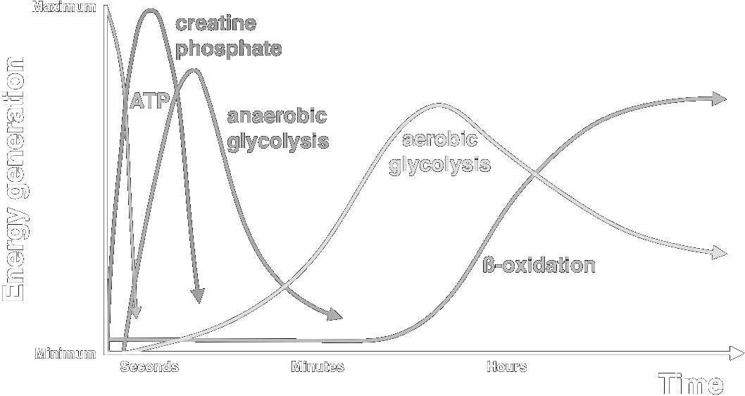 Energy time oxygen