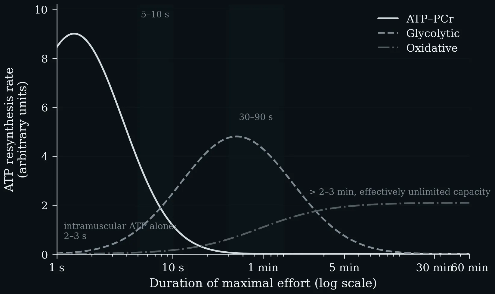 ATP resynthesis rate of the three energy systems against effort duration