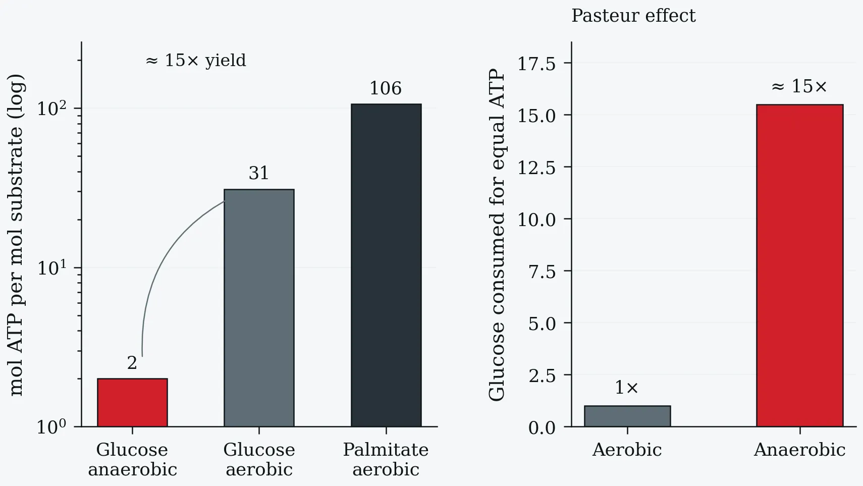 ATP yield per mole of substrate and the resulting Pasteur effect