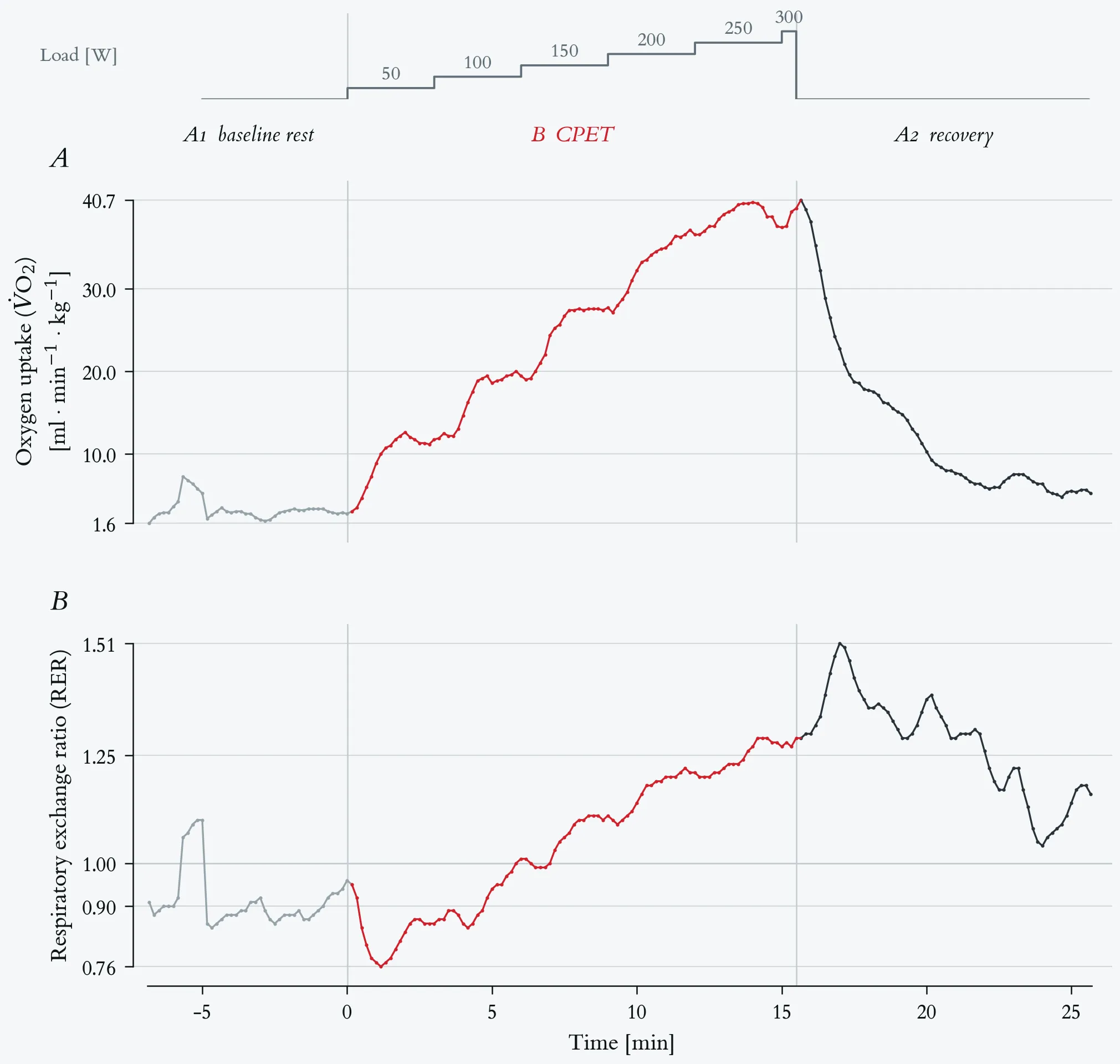 Mass-related oxygen uptake and respiratory exchange ratio
