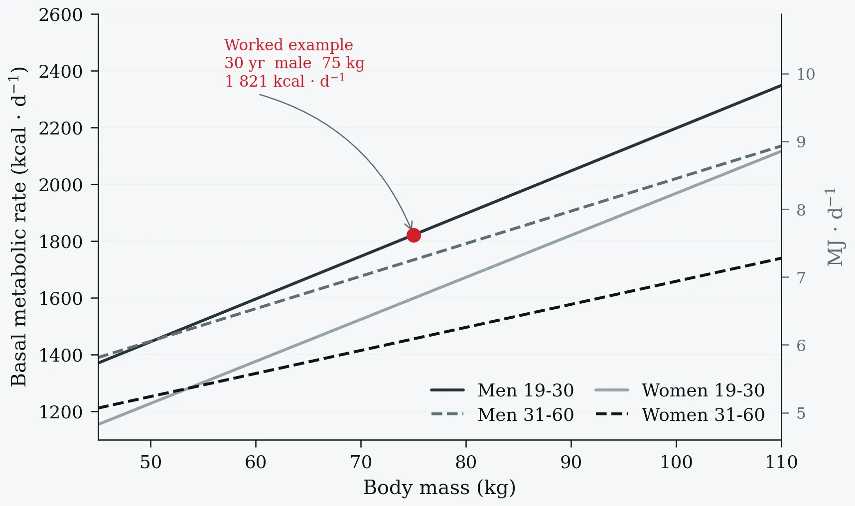 Predicted basal metabolic rate as a function of body mass